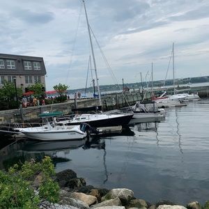 Meet your Posher, Carly